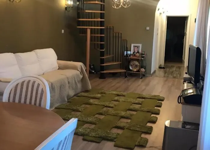 Accommodatie bij particulieren Domenii House